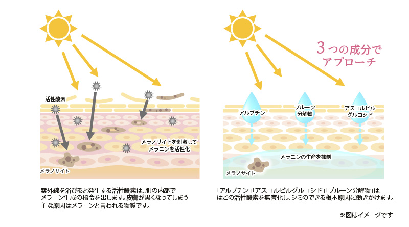 メラニンの抑制が大切