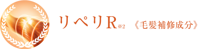 リペリR※2　《毛髪補修成分》