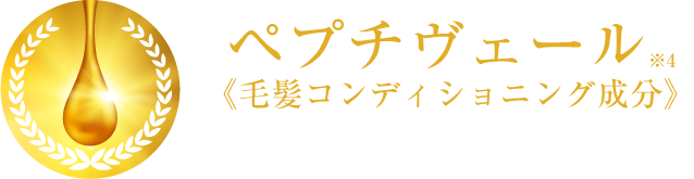  ペプチヴェール※4《毛髪コンディショニング成分》