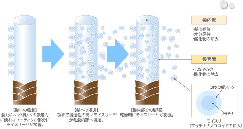 髪への吸着、髪への浸透、髪内部での膨張